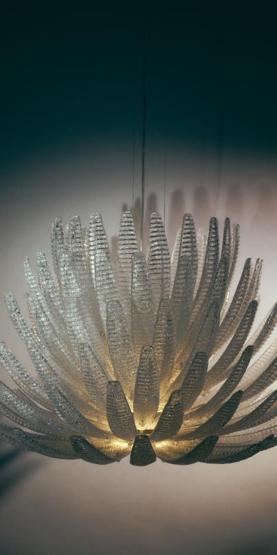bt_agave_7572-00_cr_cl_01.jpg