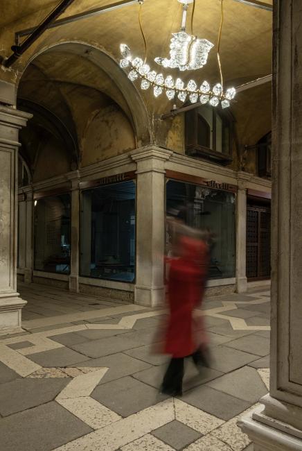 03_bt_siphonophera_giorgio_vigna_murano_illumina_il_mondo.jpg
