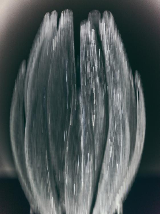 bt_agave_table-lamp_garcia-cumini_editorial_02.jpg